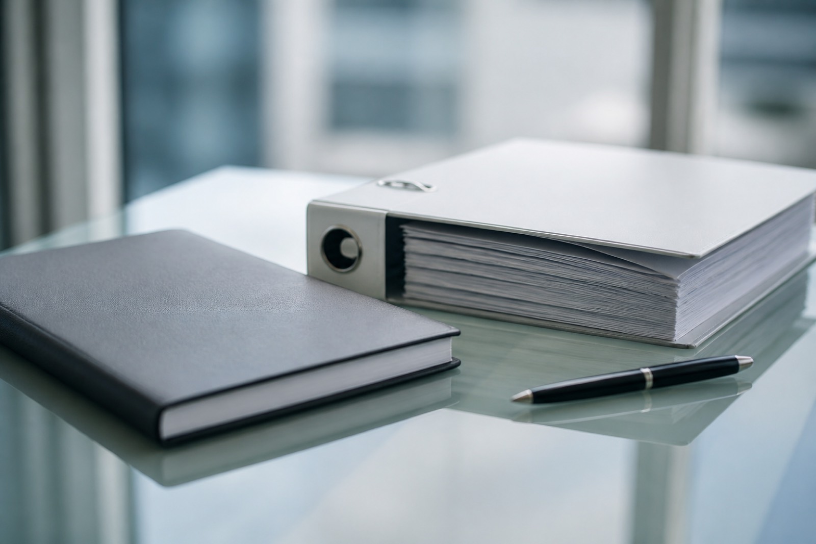 Pitch book and binder for a marketing services M&A advisor sale process